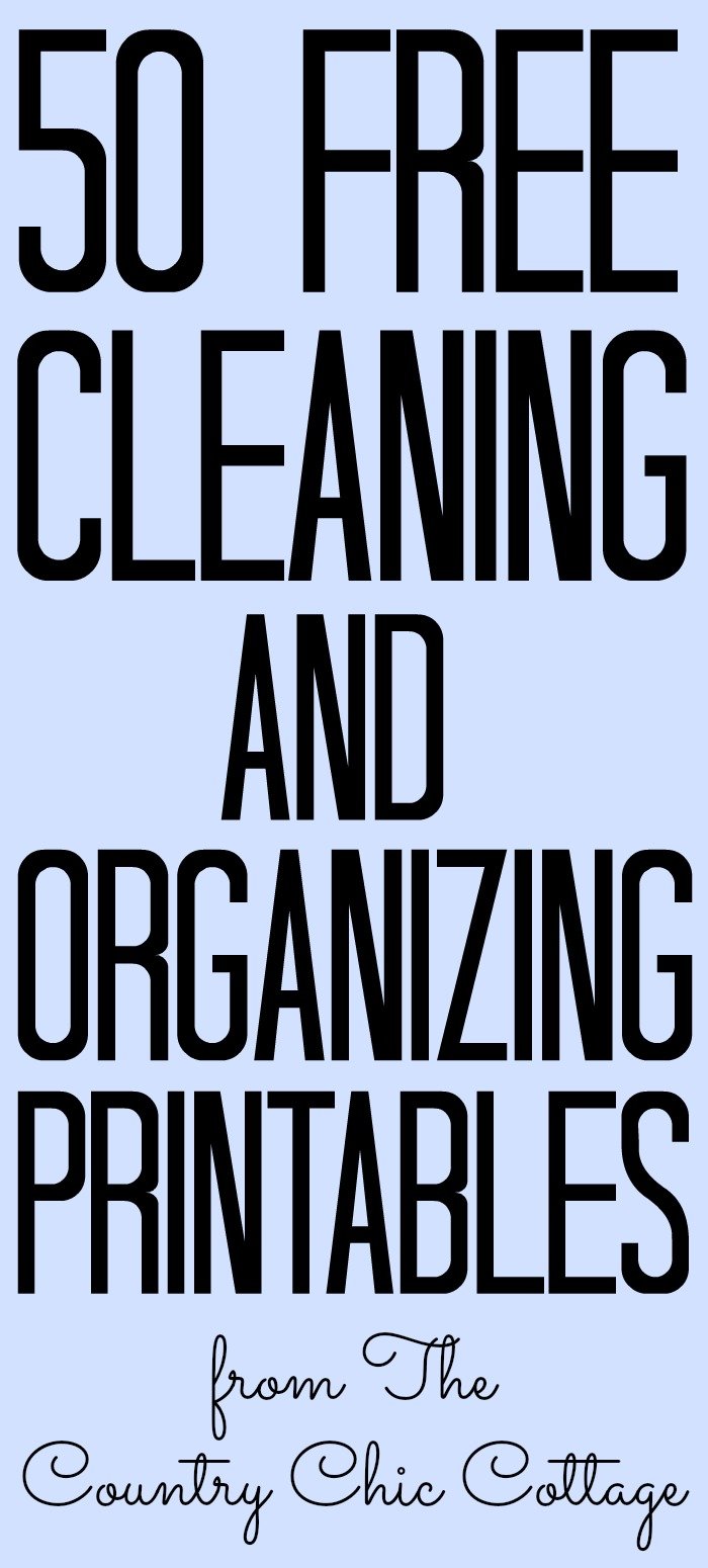 Getting Organized in 2012 - Organizing Cleaning Supplies and Free Label  Printables! - Tatertots and Jello