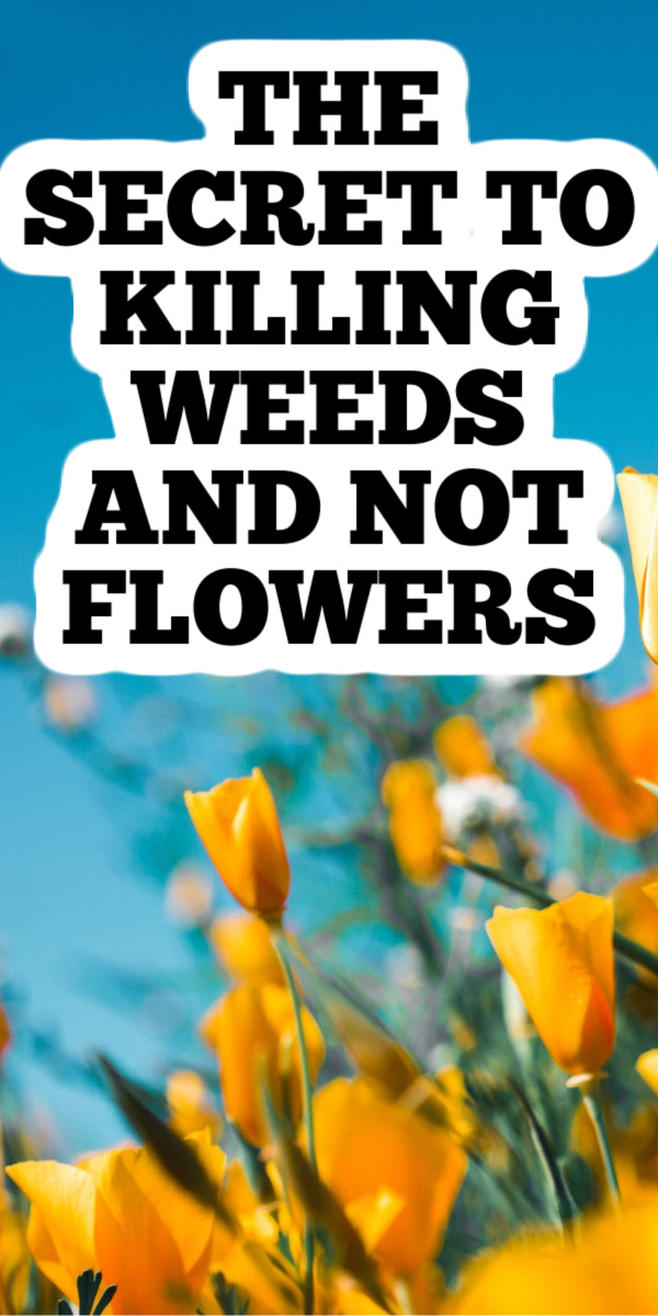 Kill Weeds But Not Flowers