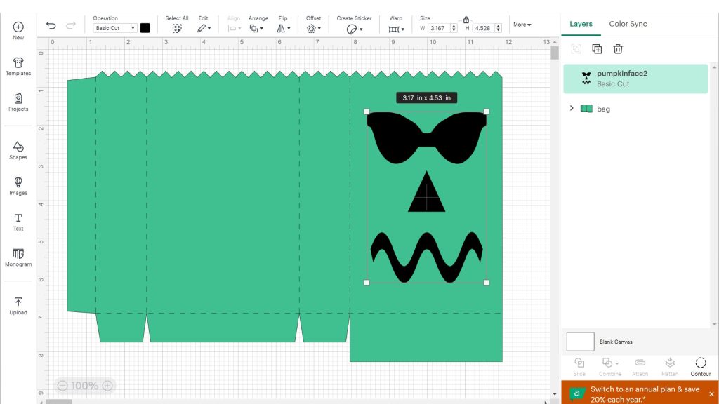 Placing and resizing bag and face images