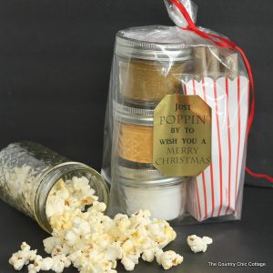 https://www.thecountrychiccottage.net/wp-content/uploads/2014/10/gourmet-popcorn-gift-with-mason-jars-001-300x300.jpg