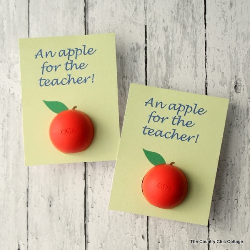 The 40 Best Teacher Appreciation Gifts - Angie Holden The Country Chic ...