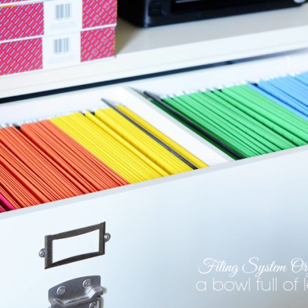 Filing System Organization by A Bowl Full Of Lemons