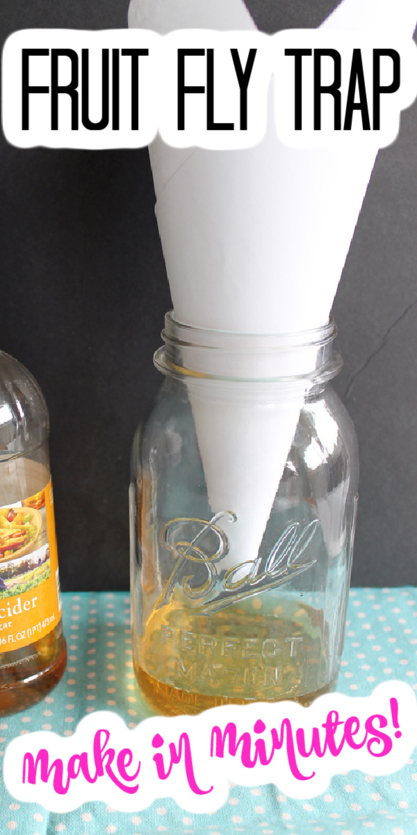 Mason Jar Fruit Fly Trap - Angie Holden The Country Chic Cottage