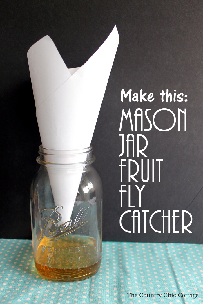 How To Make a Fruit Fly Trap (Paper Cone Hack)