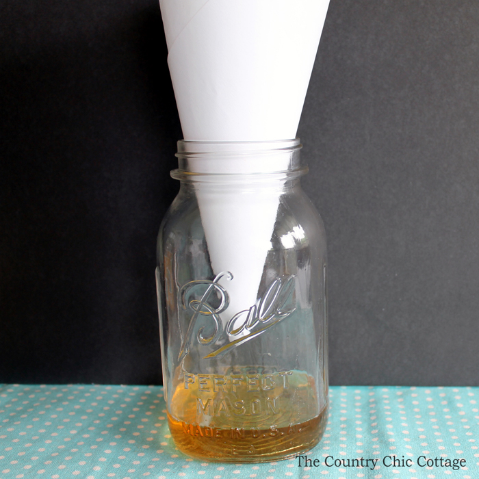 Mason Jar Fruit Fly Trap - The Country 