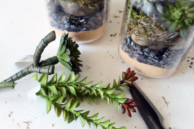 Terrarium in a Mason Jar Gift Idea - Angie Holden The Country Chic Cottage