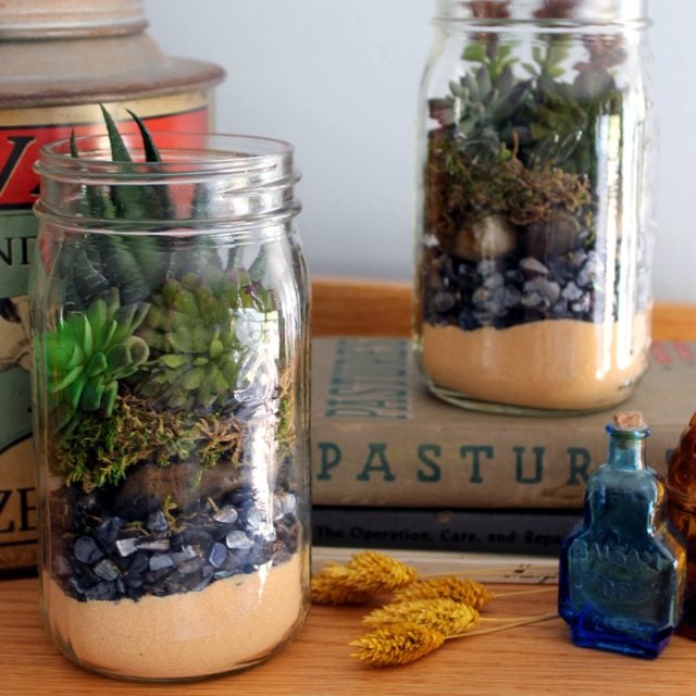 Terrarium in a Mason Jar Gift Idea - Angie Holden The Country Chic Cottage