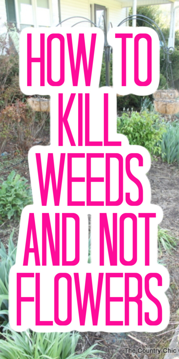 Kill Weeds NOT Flowers Angie Holden The Country Chic Cottage