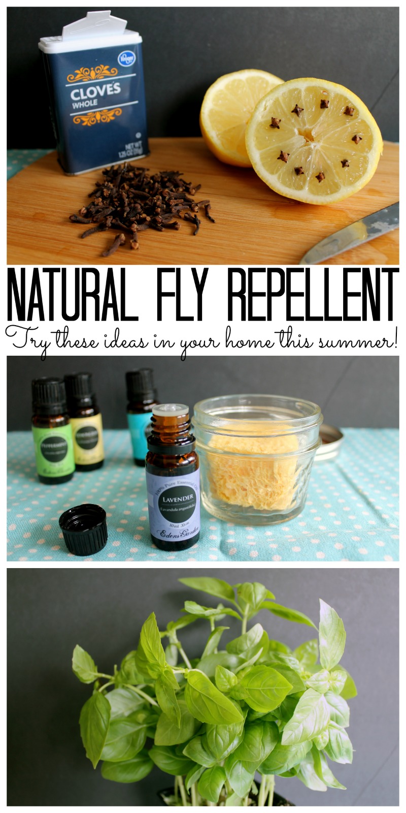 https://www.thecountrychiccottage.net/wp-content/uploads/2017/04/natural-fly-repellent-ideas-for-your-home.jpg