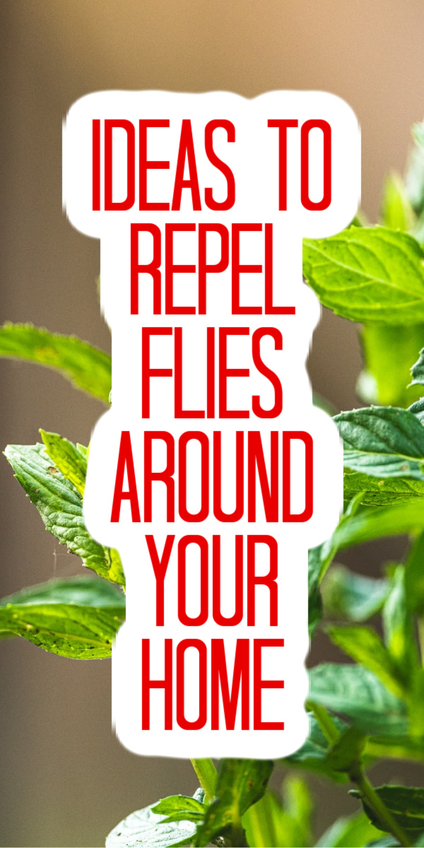 4 Ways To Make Natural Fly Repellent The Country Chic Cottage   Repel Flies Around Your Home 