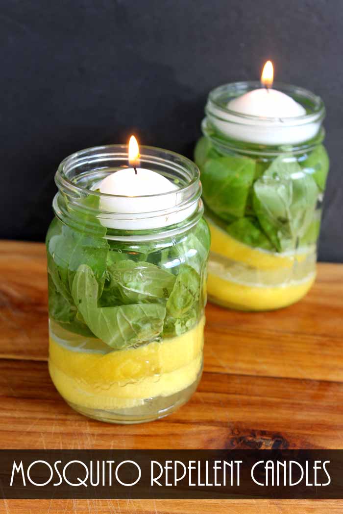 Make Mosquito Repellent Candles - Angie Holden The Country Chic Cottage