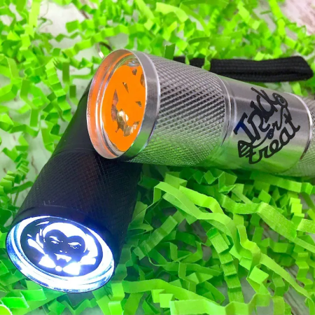 10 Minute DIY Rick or Treat Flashlights by Raegun Ramblings