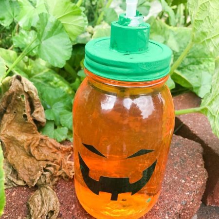 DIY Pumpkin Soap Dispenser by Clarks Condensed