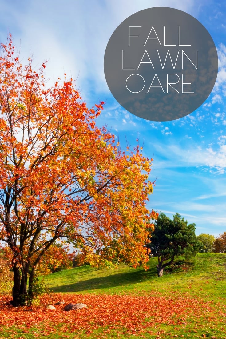 Fall Lawn Care: Everything You Need to Know - The Country ...