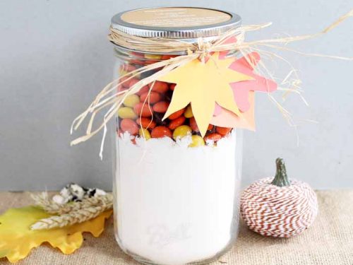 Cute DIY Halloween Snack Jar Craft - Angie Holden The Country Chic