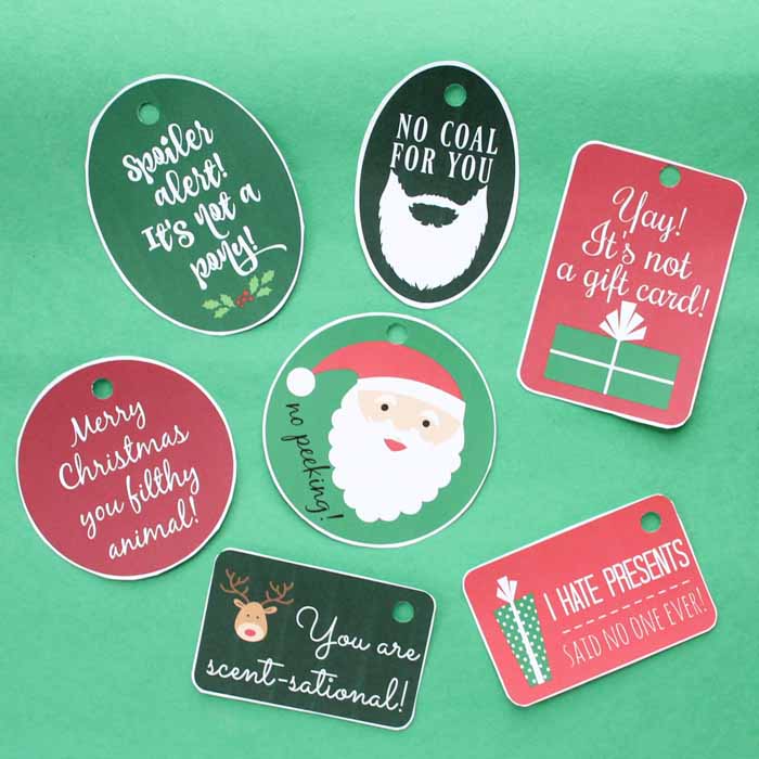 Printable Christmas Tags and Last Minute Gifts for Him - The Country ...