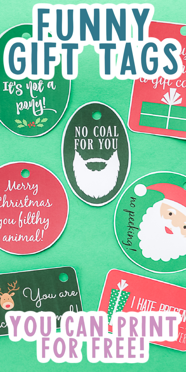 Free Printable Funny Christmas Gift Tags - Angie Holden The Country ...