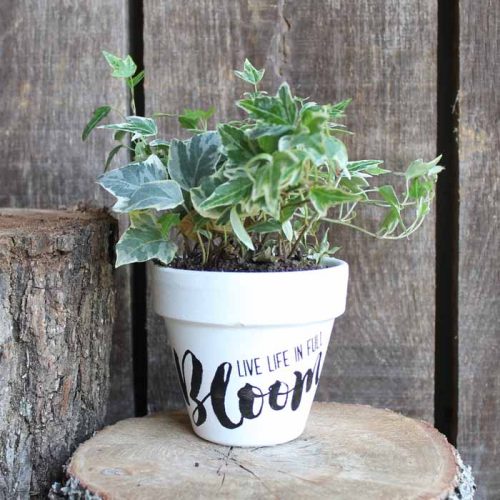 40 Quick and Easy Clay Pot Crafts | The Country Chic Cottage