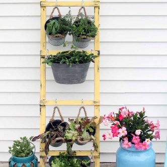 vertical garden leaning on a house