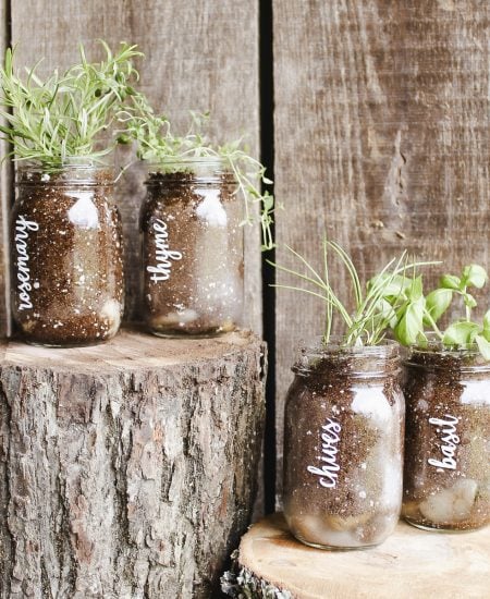 mason jar planters