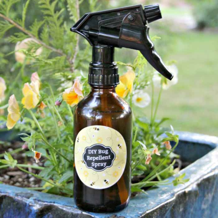 Essential Oil Insect Repellent Recipe The Country Chic Cottage