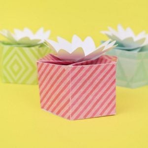 DIY Flower Gift Boxes by Mad in Crafts