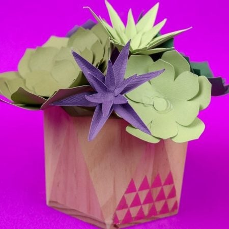 Paper Succulent Arrangement by Mad in Crafts