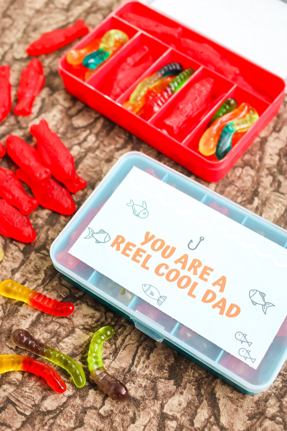 Father's Day Fishing Gifts You Can Make in Minutes - Angie Holden The  Country Chic Cottage