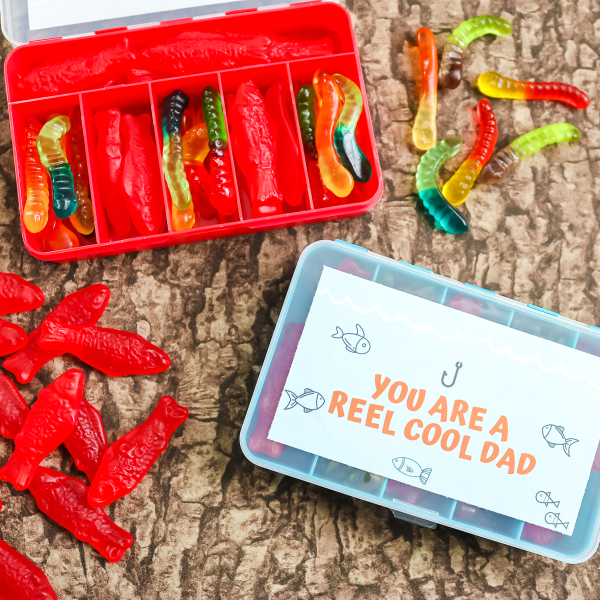 Father's Day Fishing Gifts You Can Make in Minutes - Angie Holden The  Country Chic Cottage