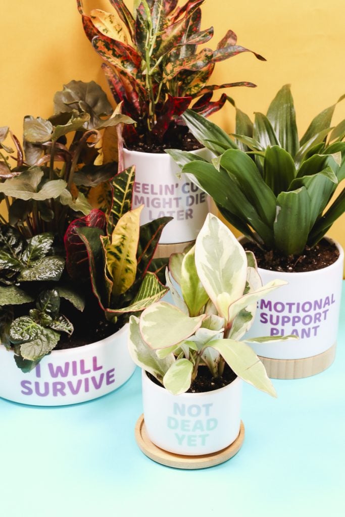 custom planters using sublimation